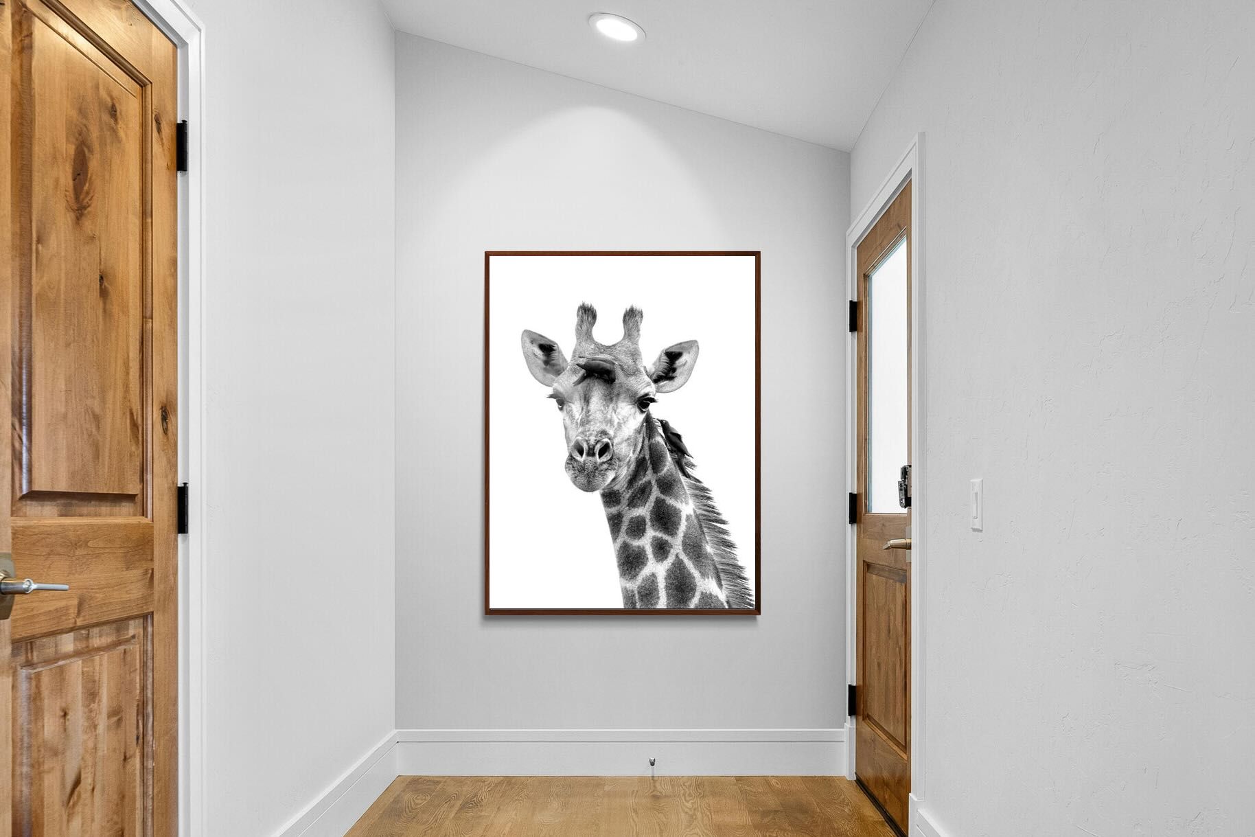 Pixalot ® Giraffe Spa