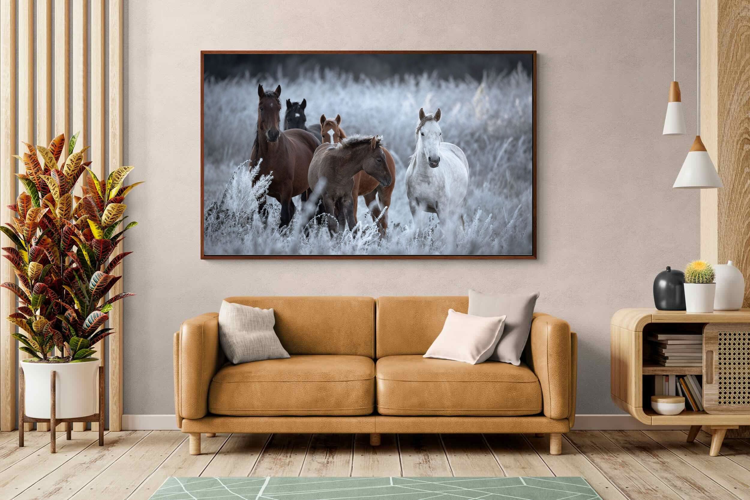 Pixalot ® Grazing Horses