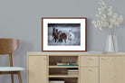 Pixalot ® Grazing Horses