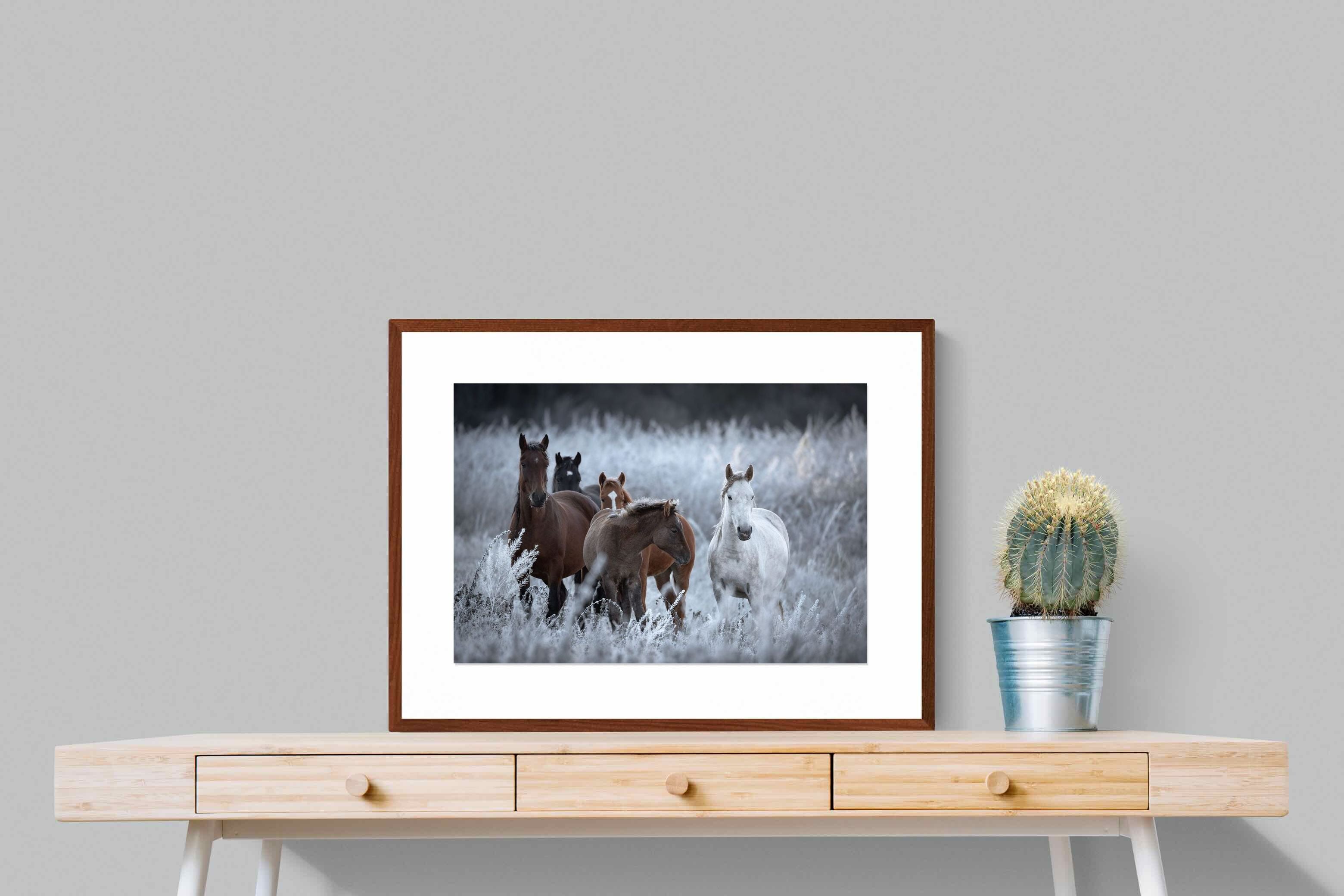 Pixalot ® Grazing Horses