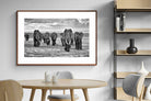 Pixalot ® Great Tuskers