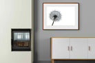 Pixalot ® Grey Dandelion
