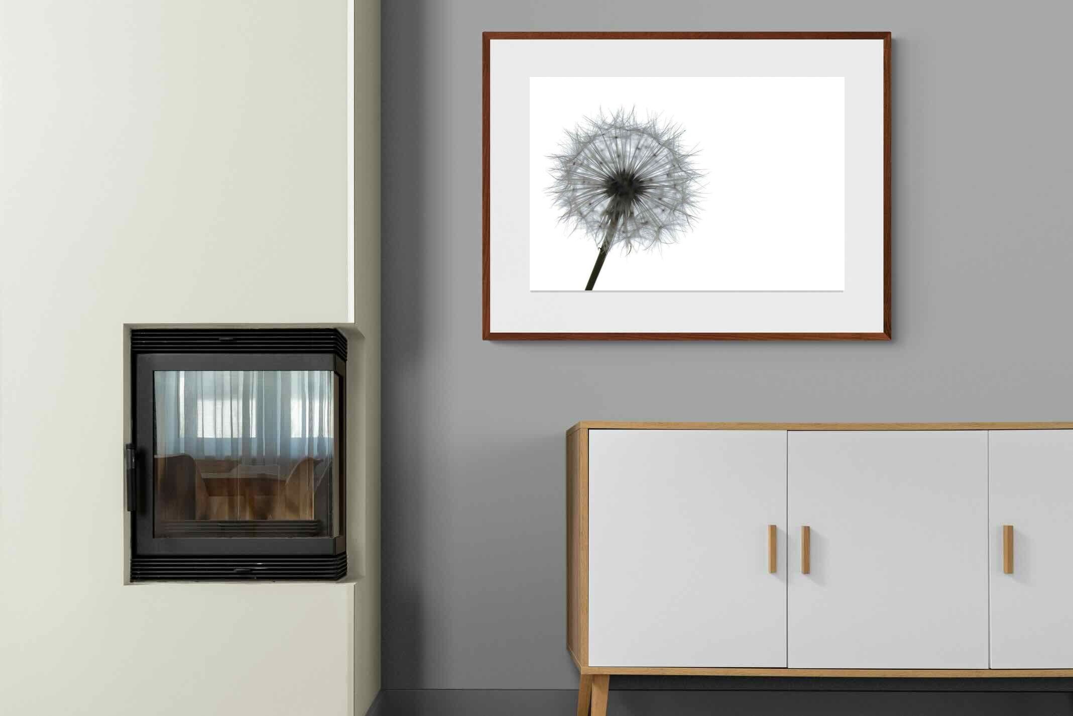 Pixalot ® Grey Dandelion