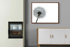 Pixalot ® Grey Dandelion