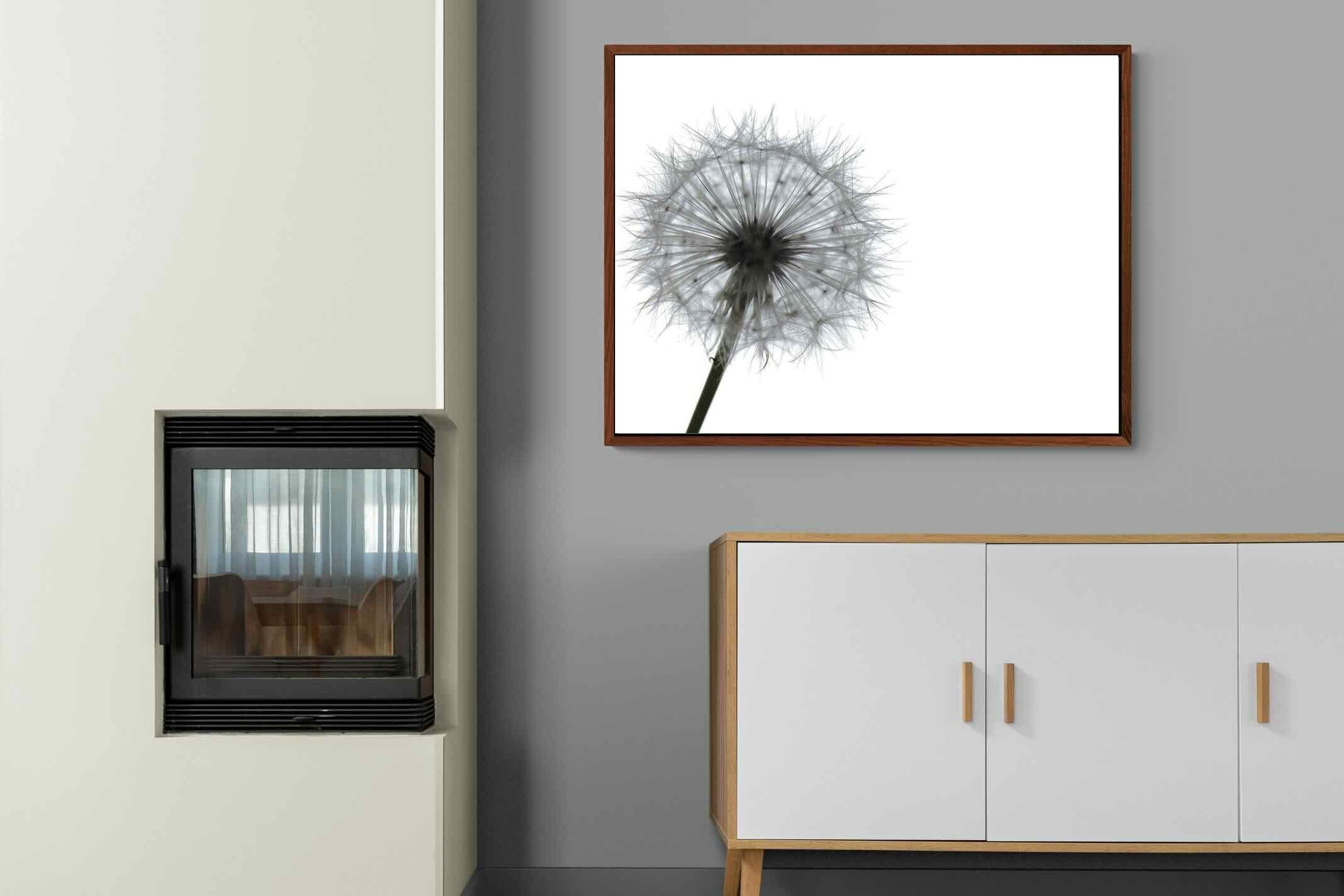 Pixalot ® Grey Dandelion