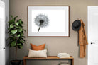Pixalot ® Grey Dandelion