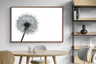 Pixalot ® Grey Dandelion