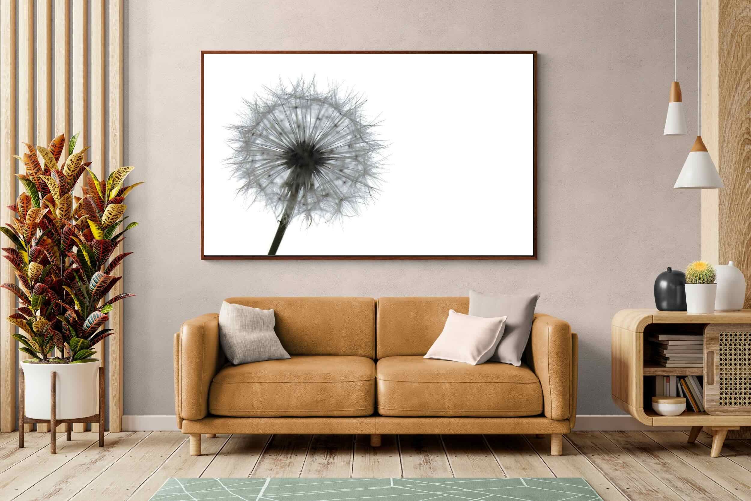 Pixalot ® Grey Dandelion