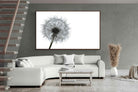 Pixalot ® Grey Dandelion
