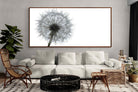 Pixalot ® Grey Dandelion