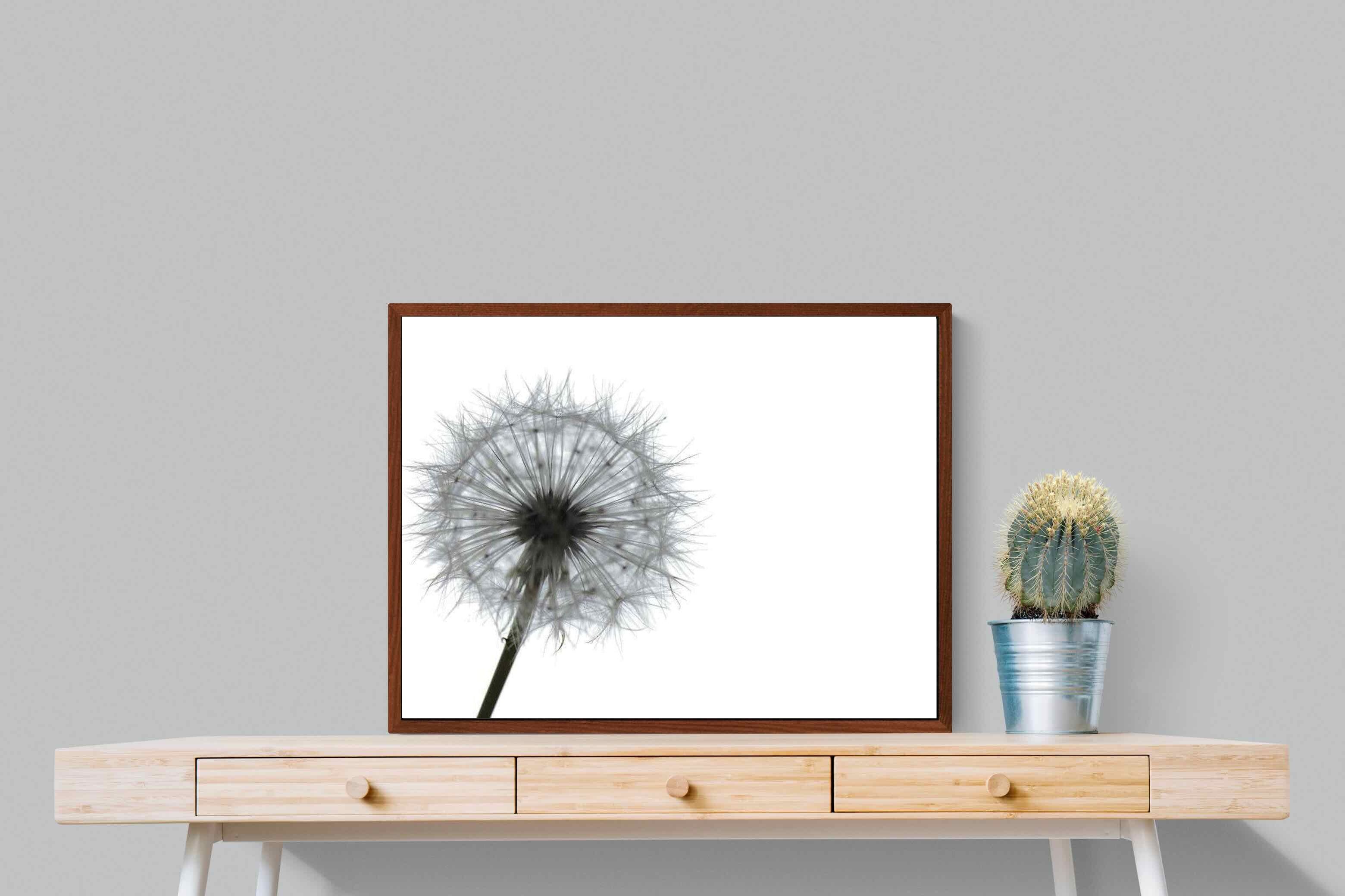 Pixalot ® Grey Dandelion