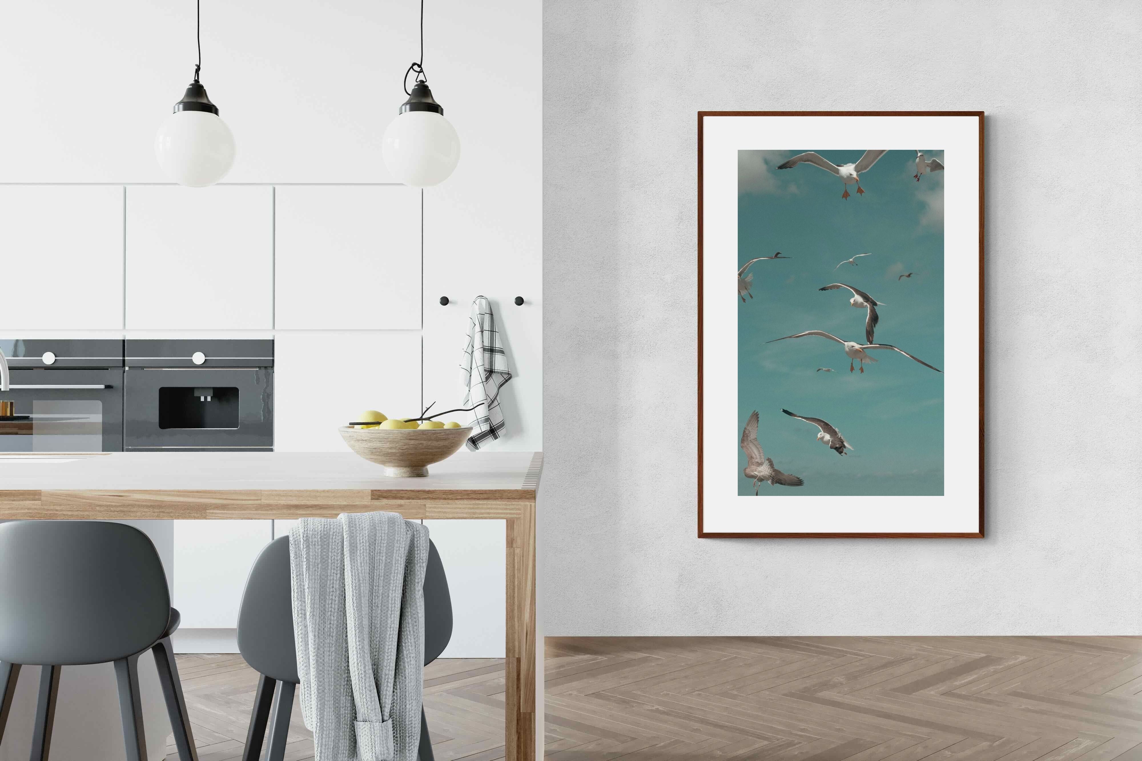 Pixalot ® Gulls in Blue