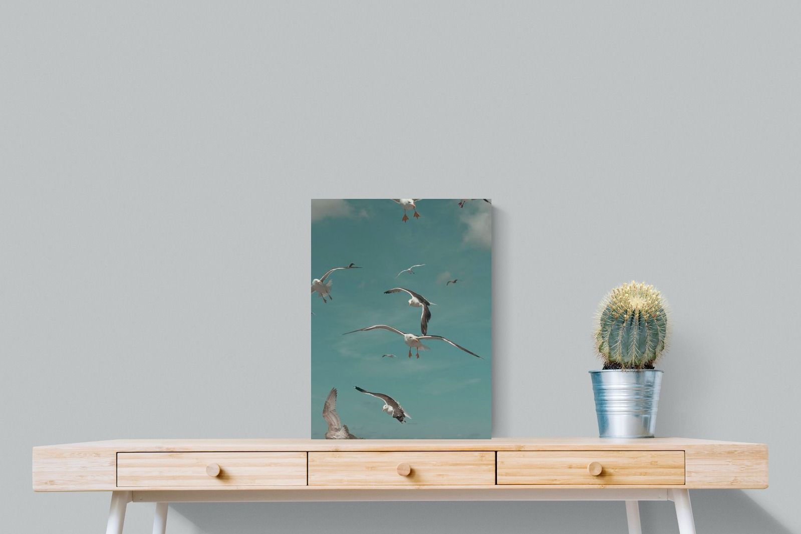 Pixalot ® Gulls in Blue