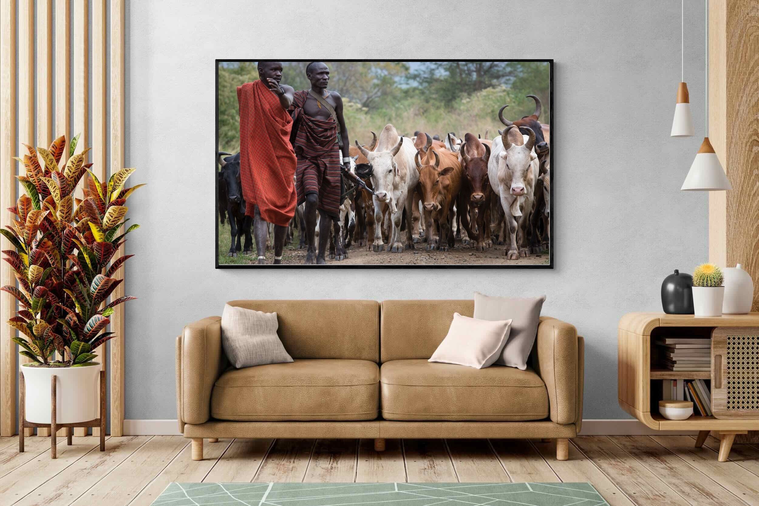 Pixalot Herding Omo