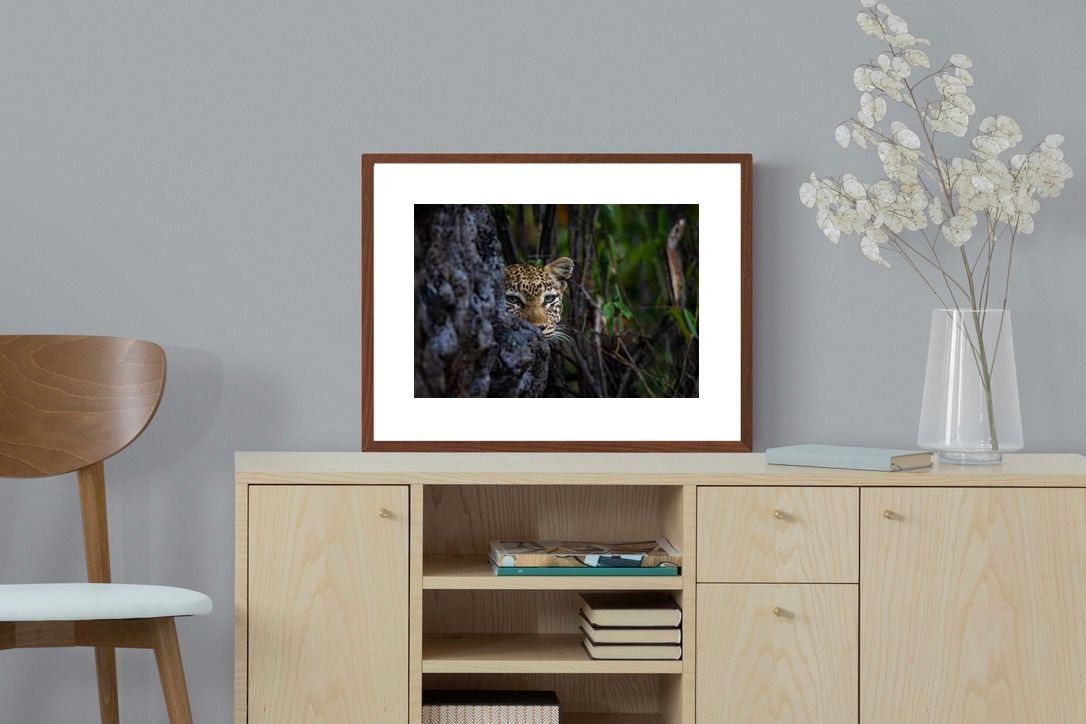 Pixalot Hidden Majesty