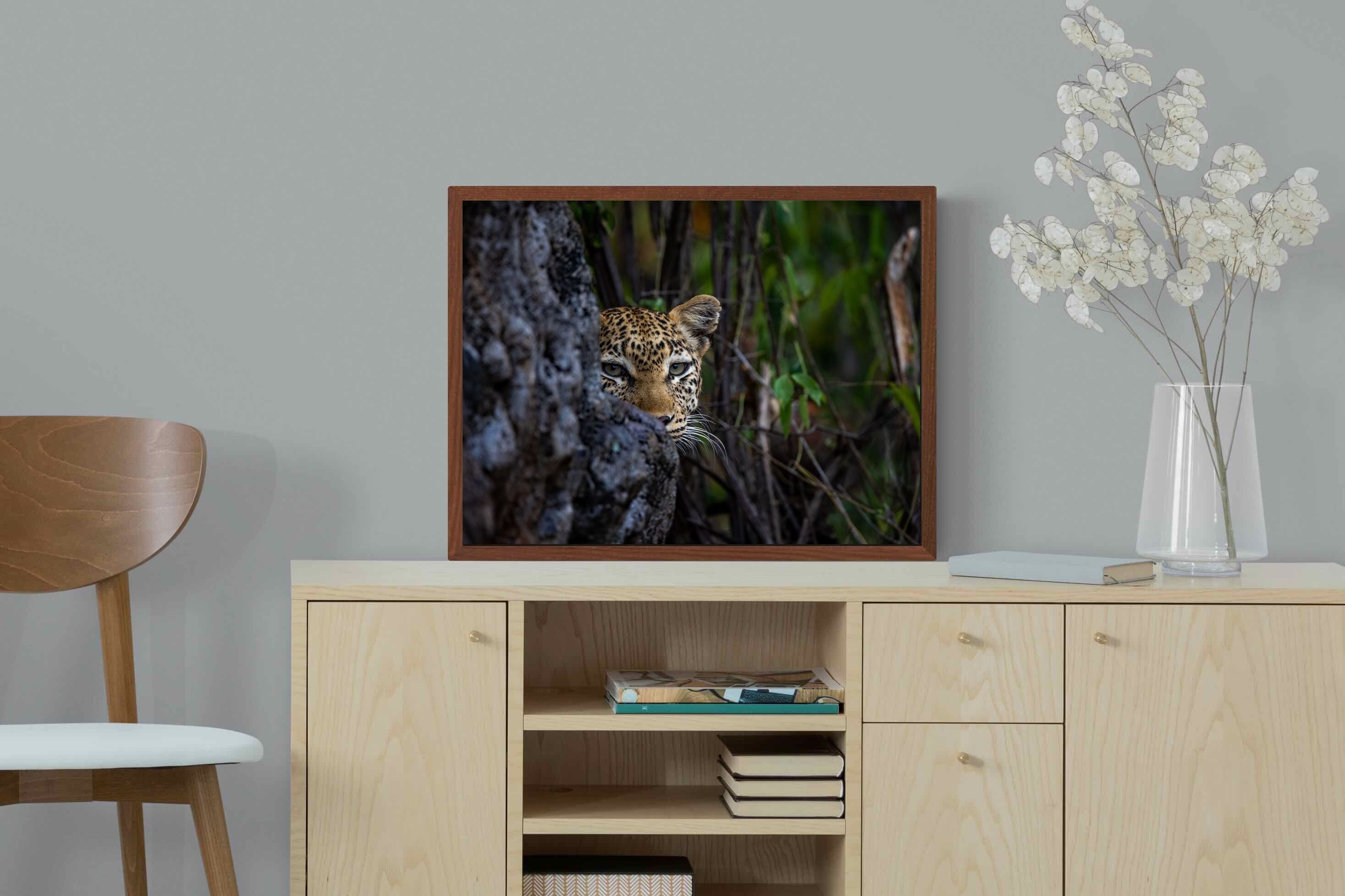 Pixalot Hidden Majesty