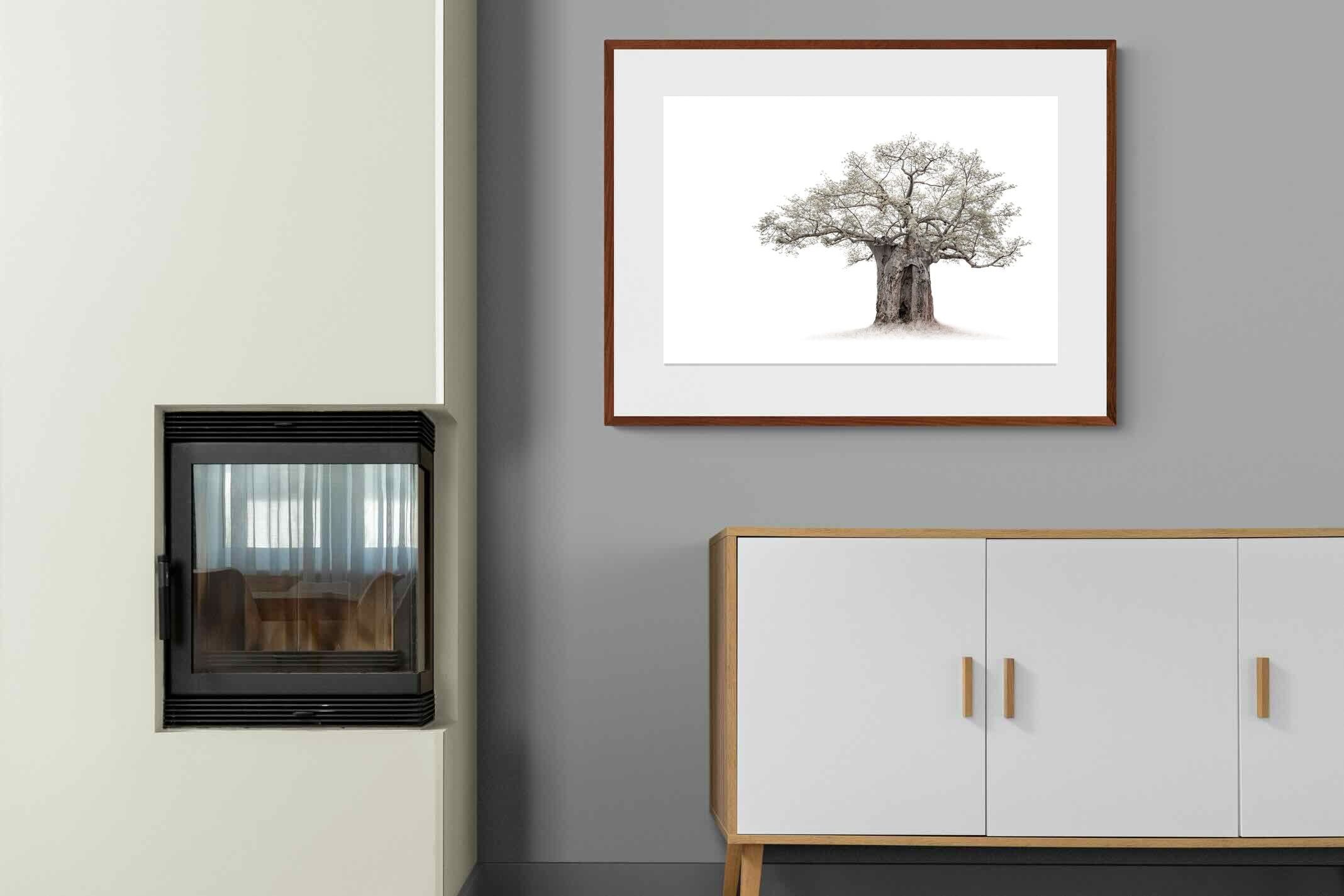 Pixalot High Key Baobab