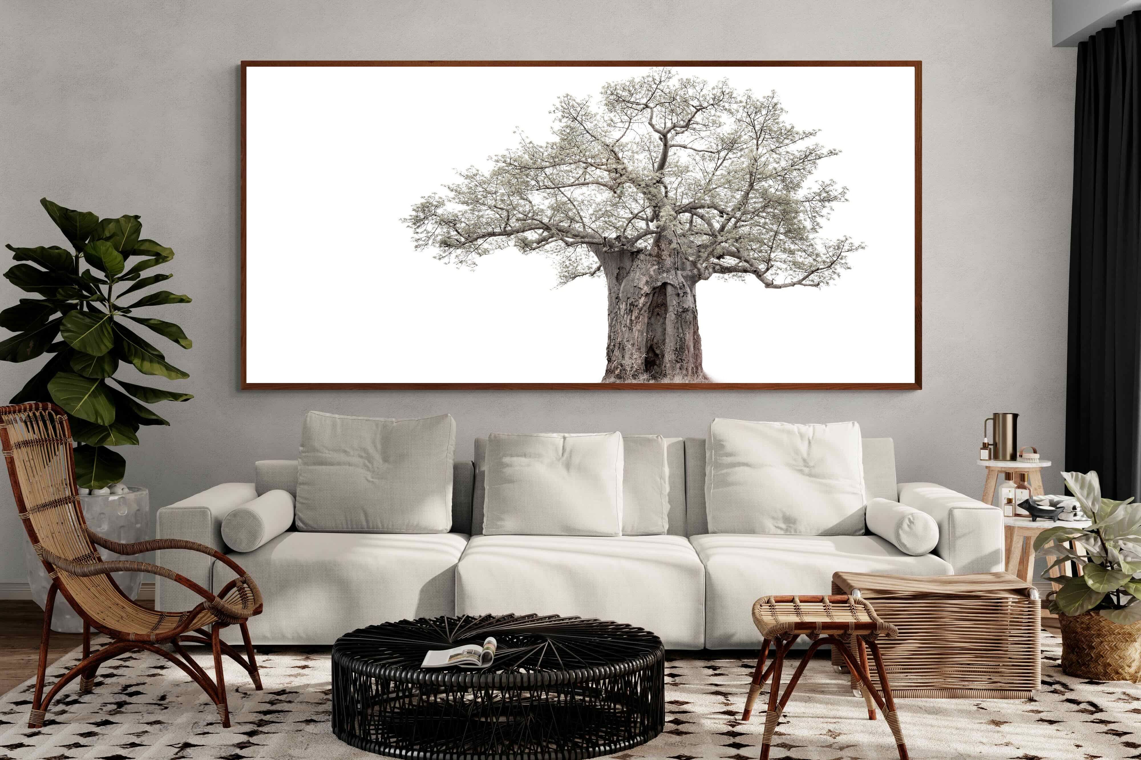 Pixalot High Key Baobab