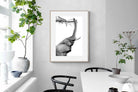 Pixalot ® High Reach