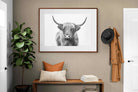 Pixalot Highland Bull