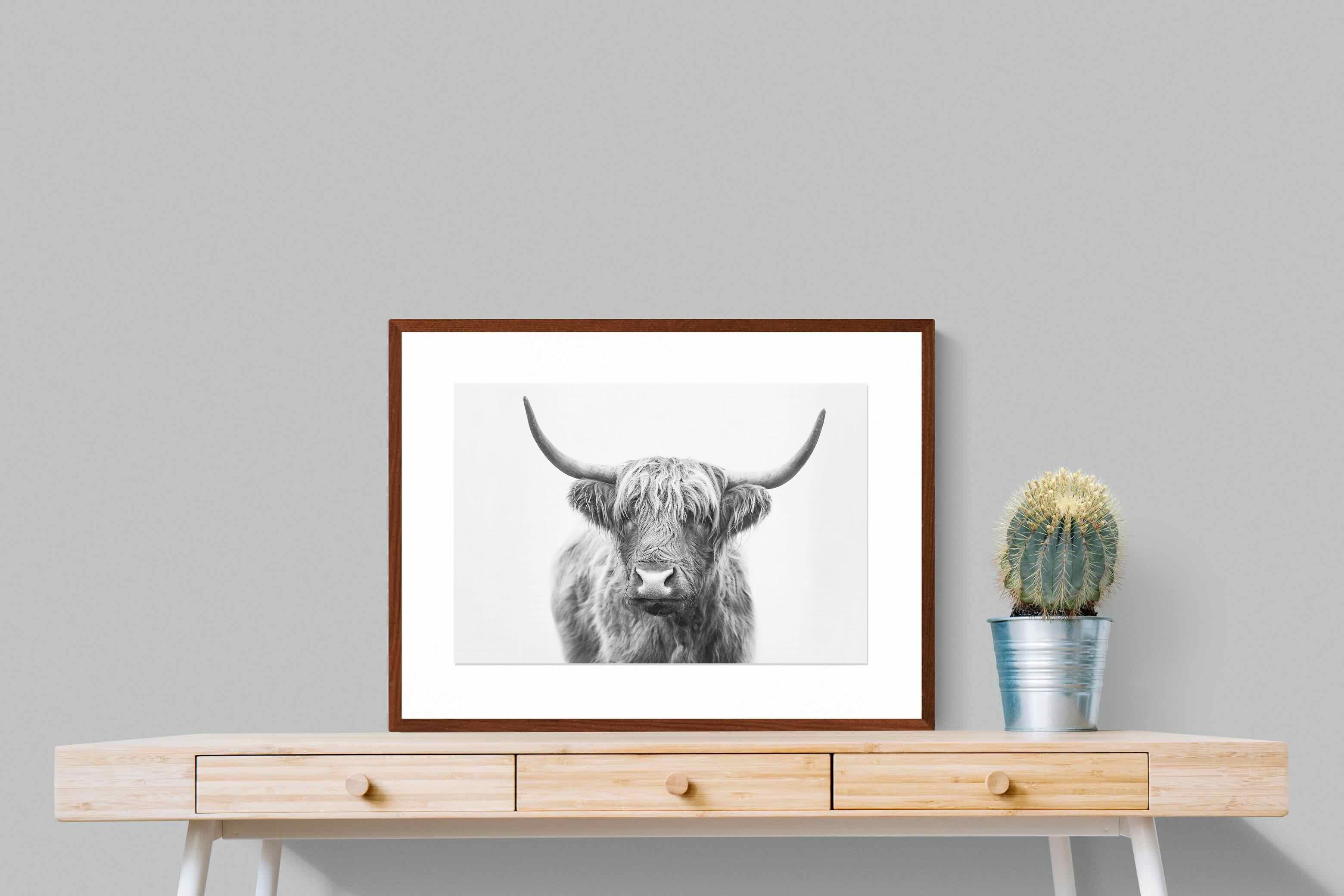 Pixalot Highland Bull