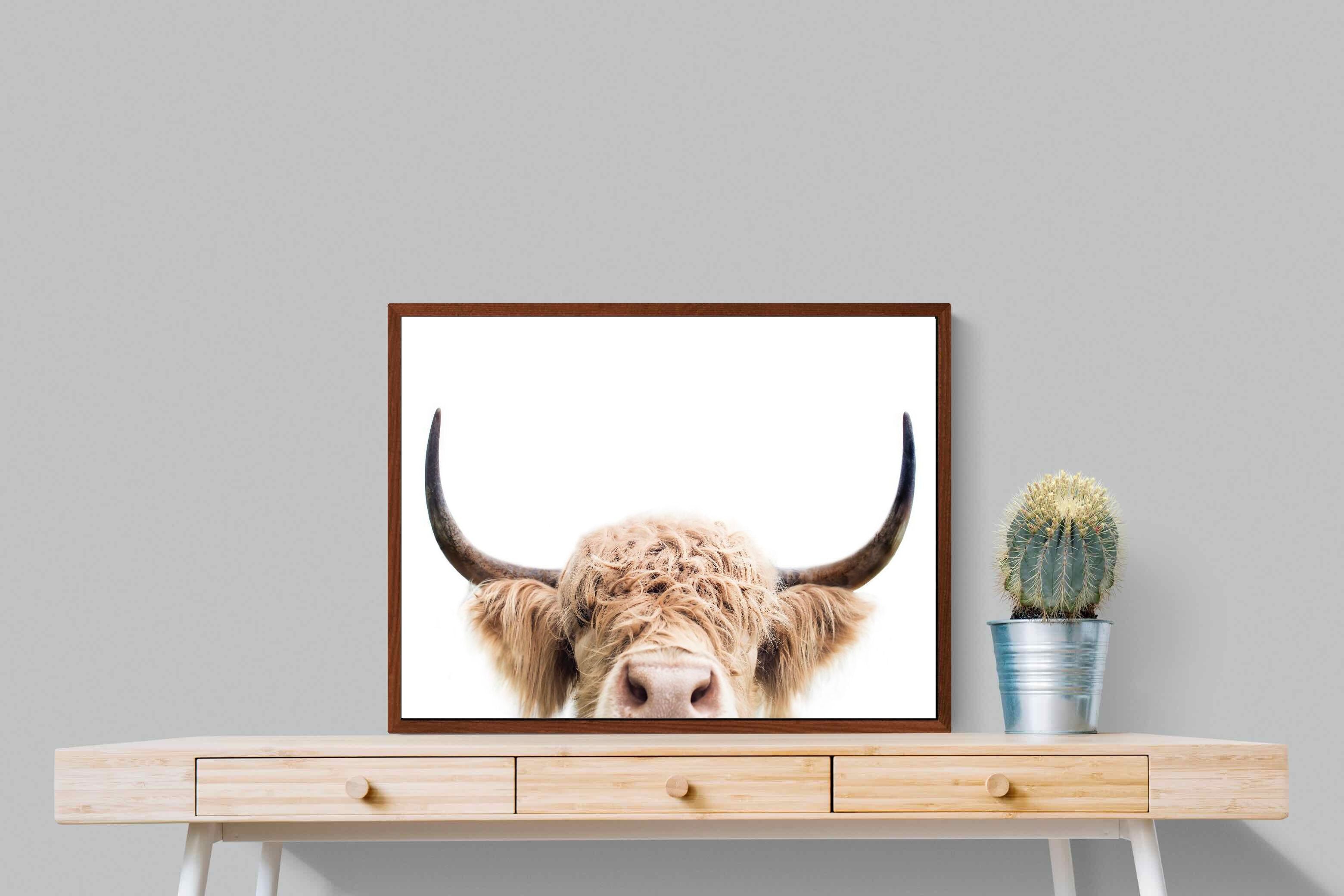 Pixalot Highland Peekaboo