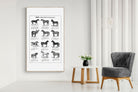 Pixalot Horse Breeds