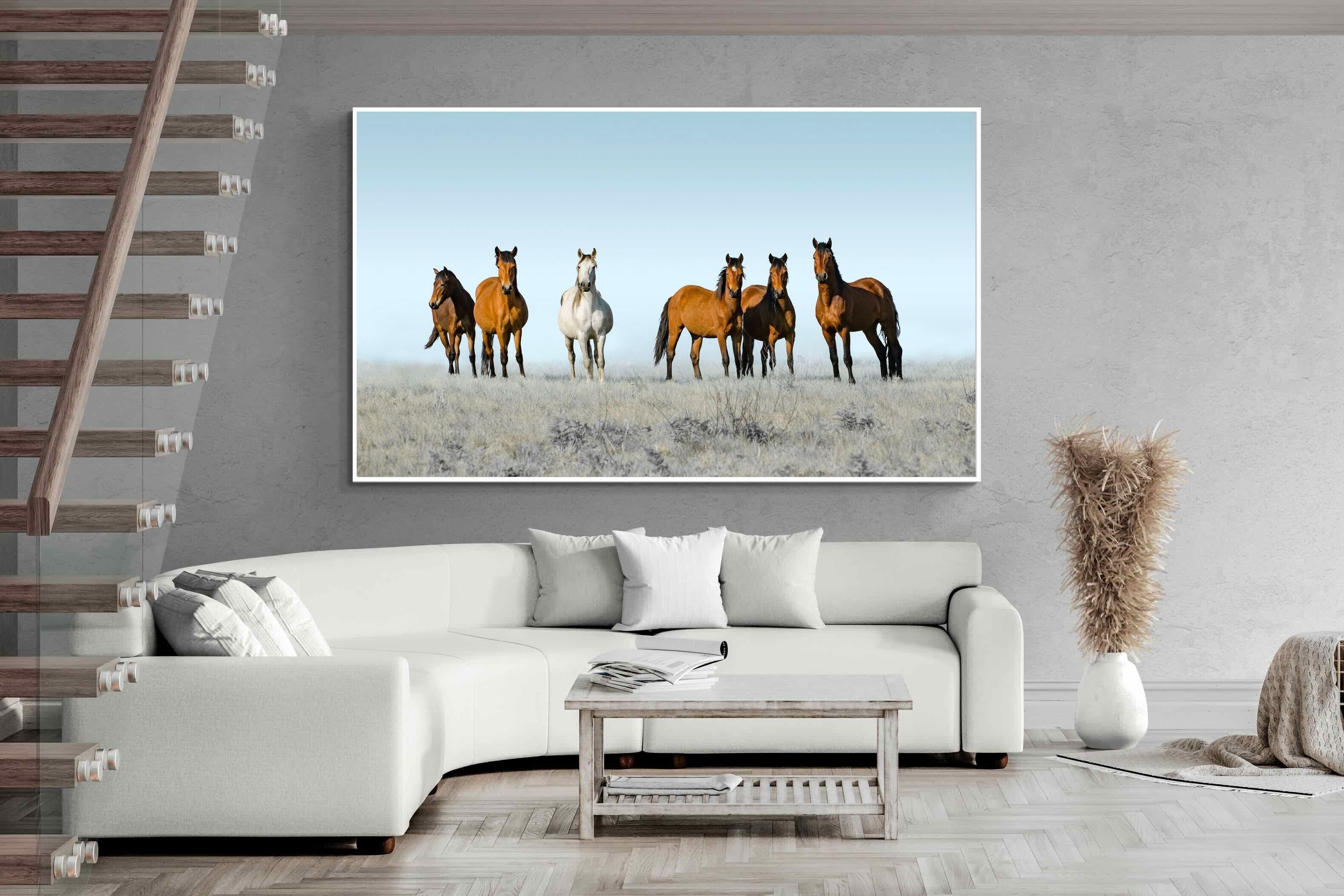 Pixalot ® Horses on the Horizon