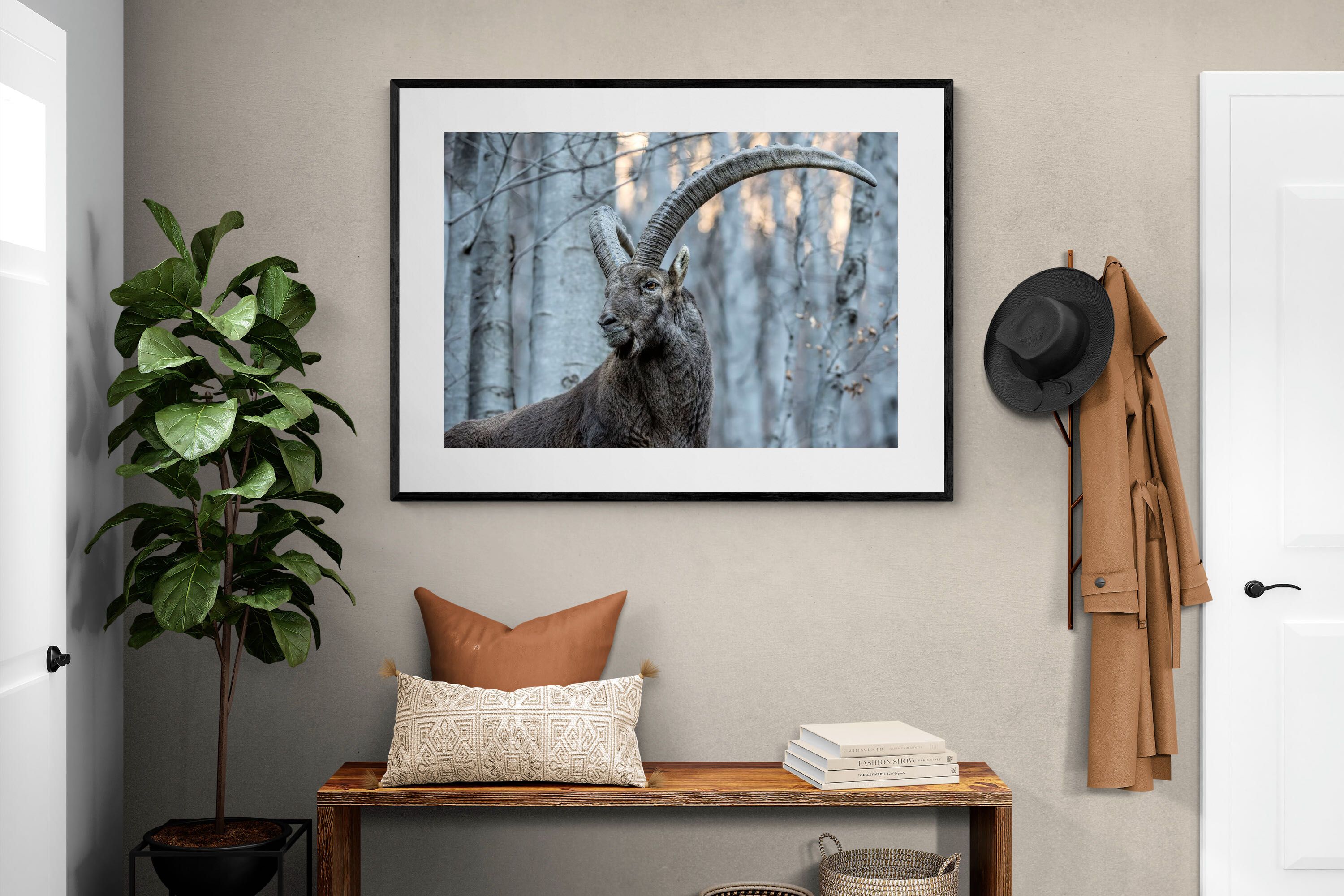 Pixalot Ibex