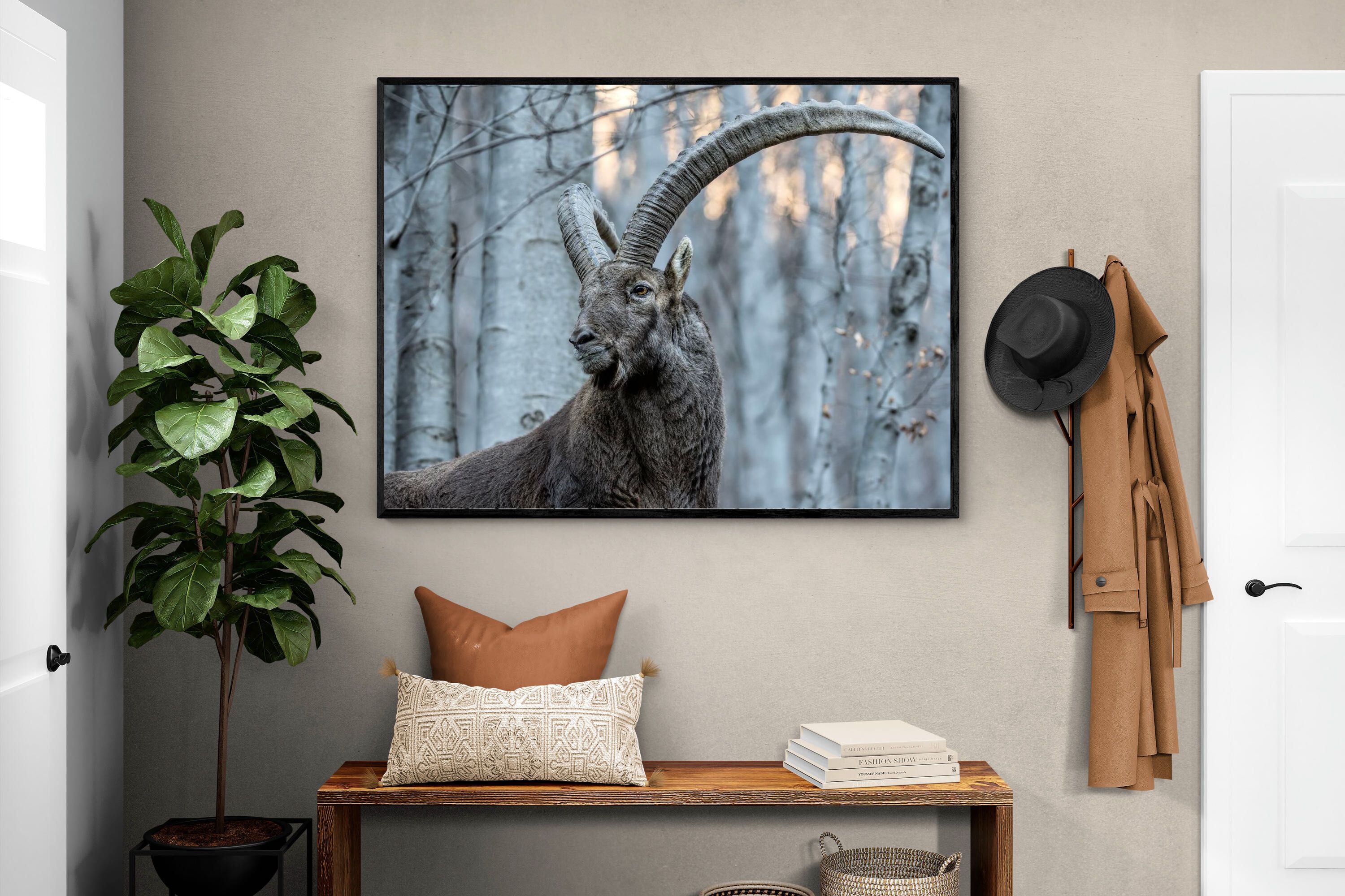 Pixalot Ibex