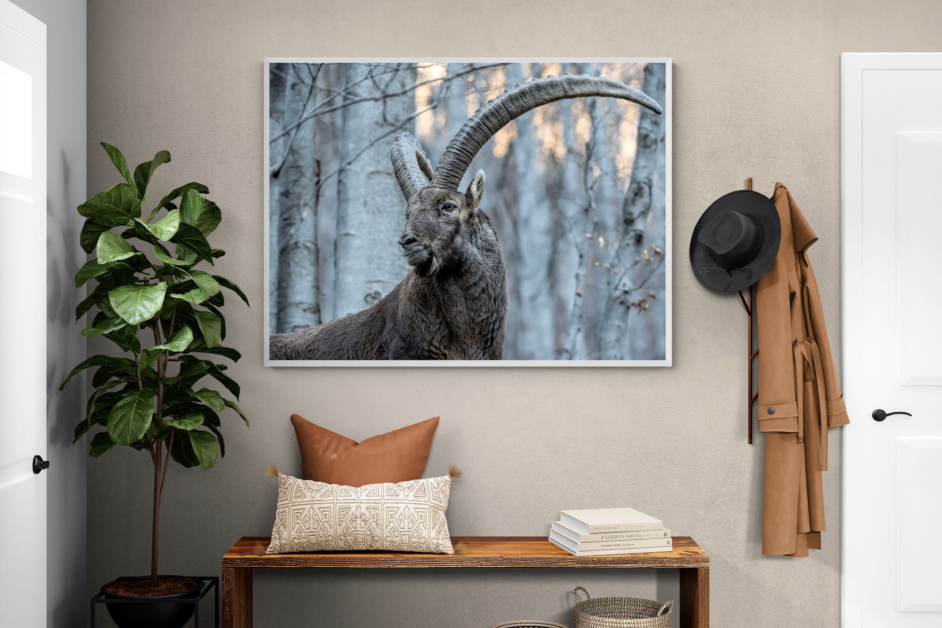 Pixalot Ibex