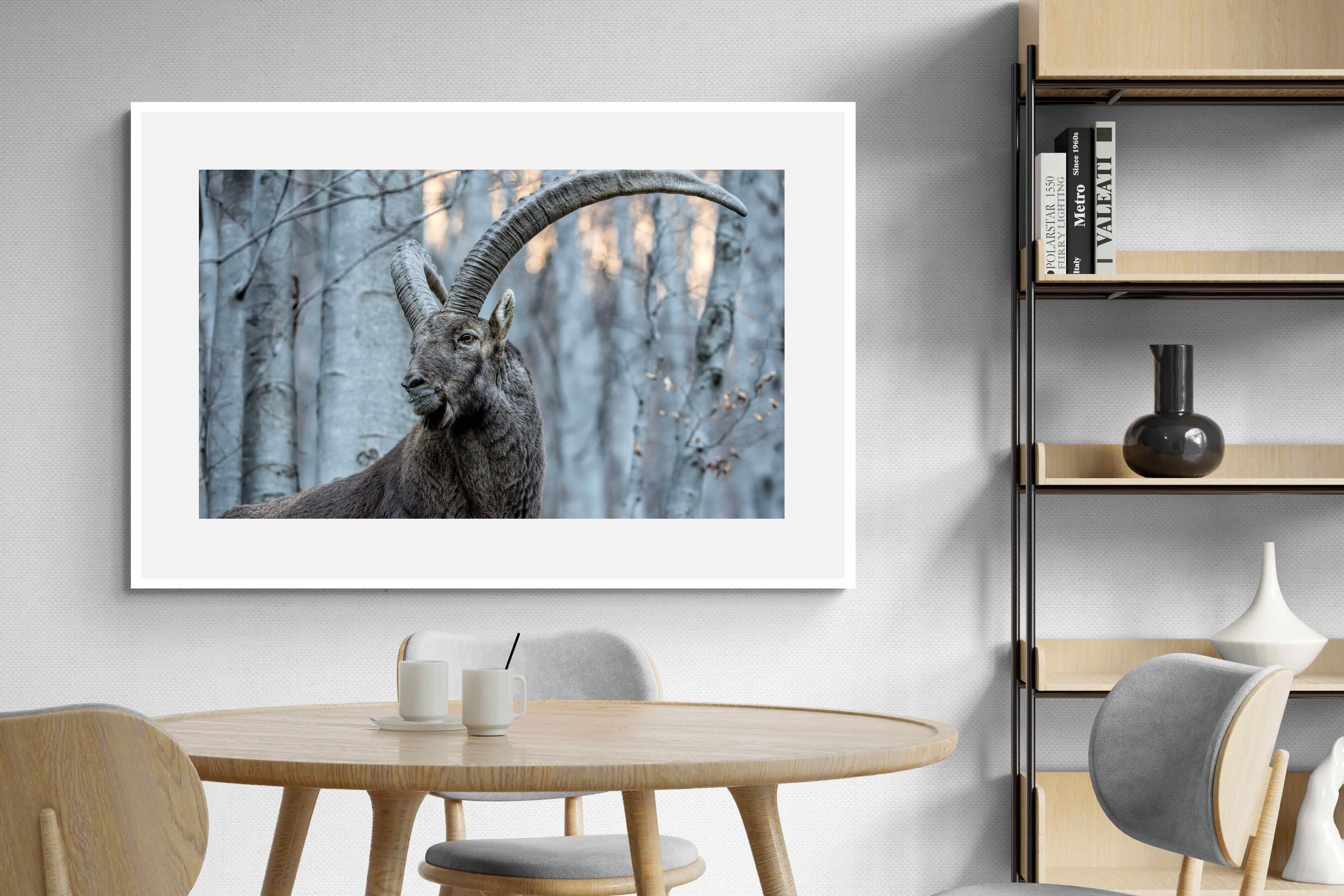Pixalot Ibex