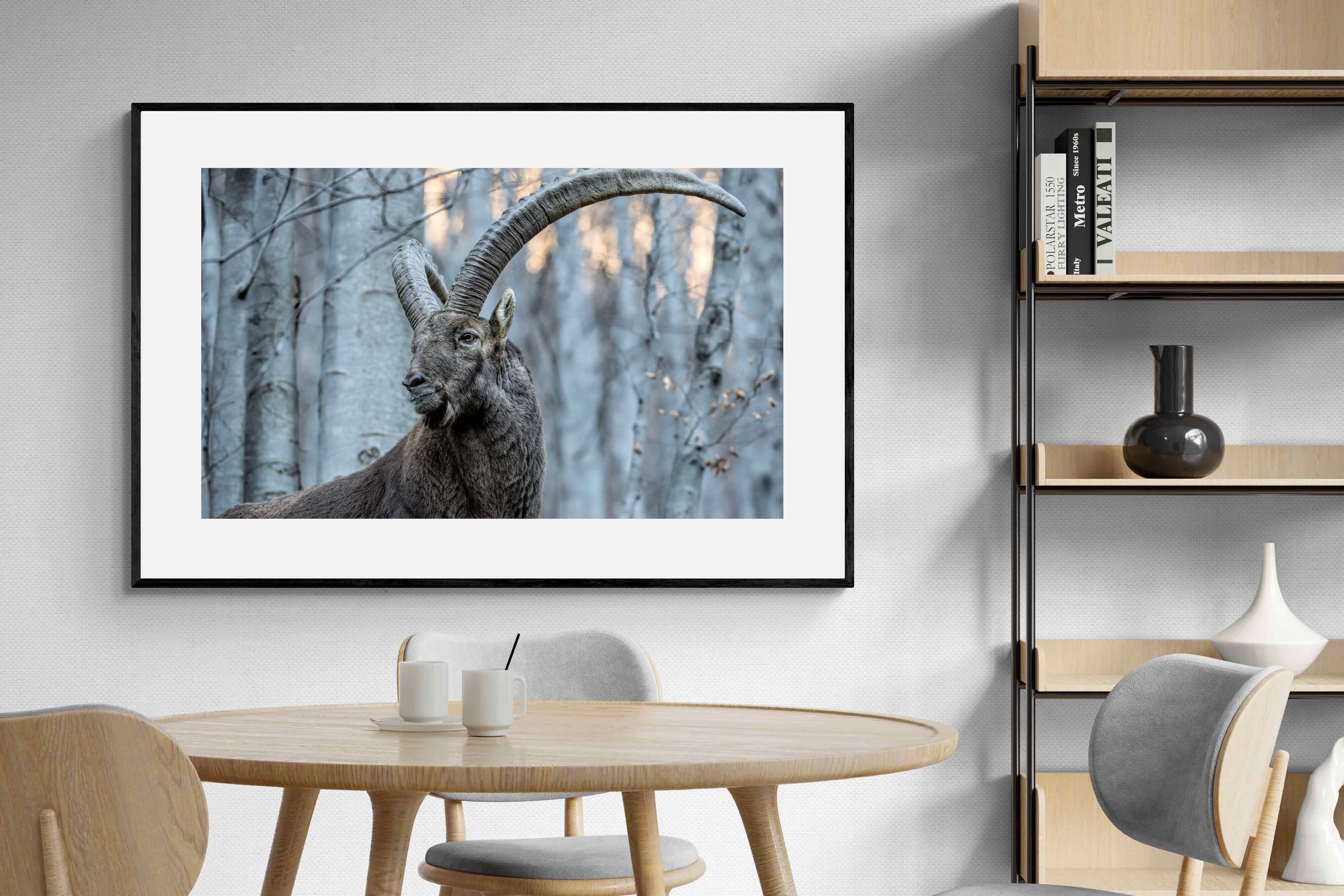 Pixalot Ibex
