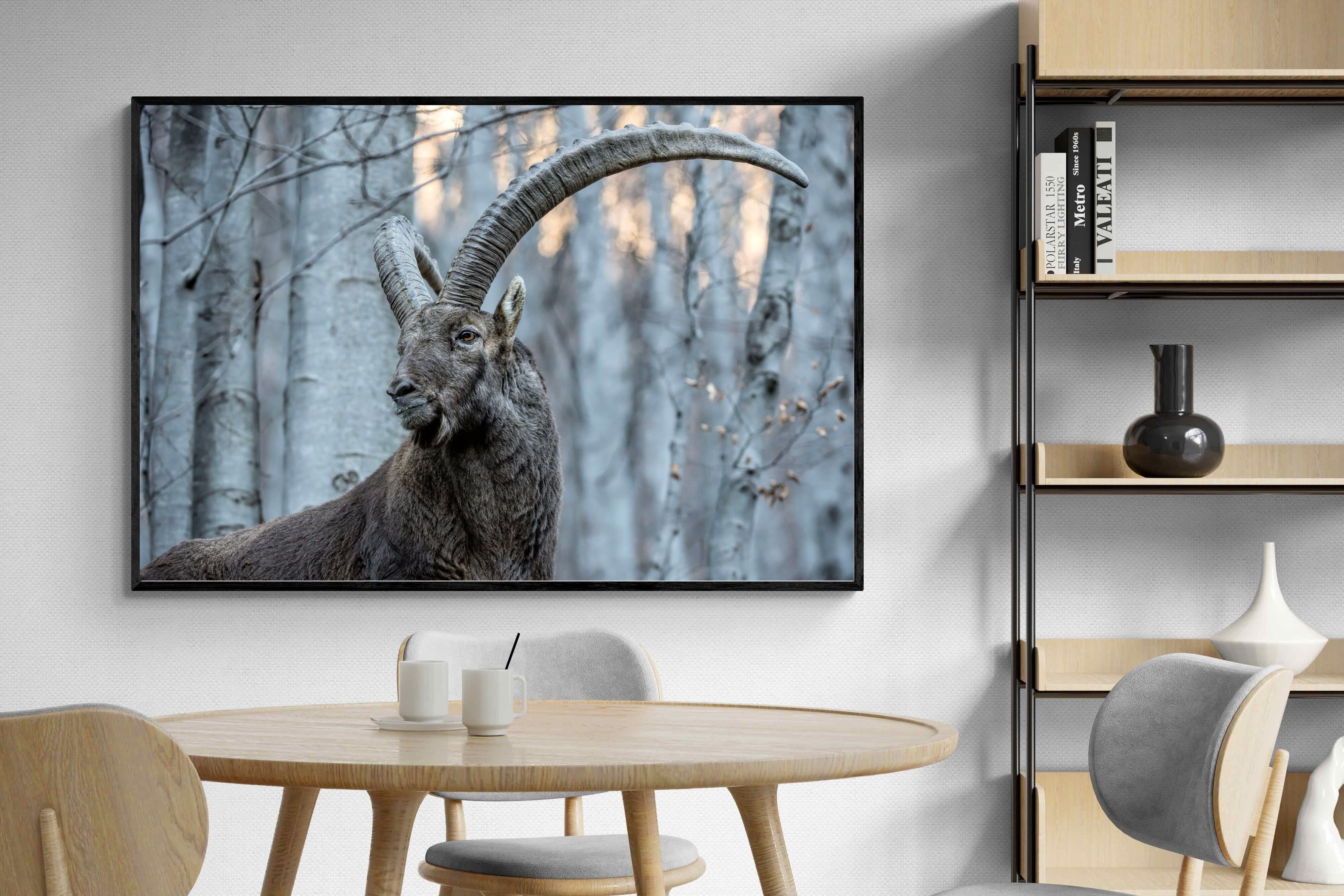 Pixalot Ibex