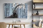Pixalot Ibex
