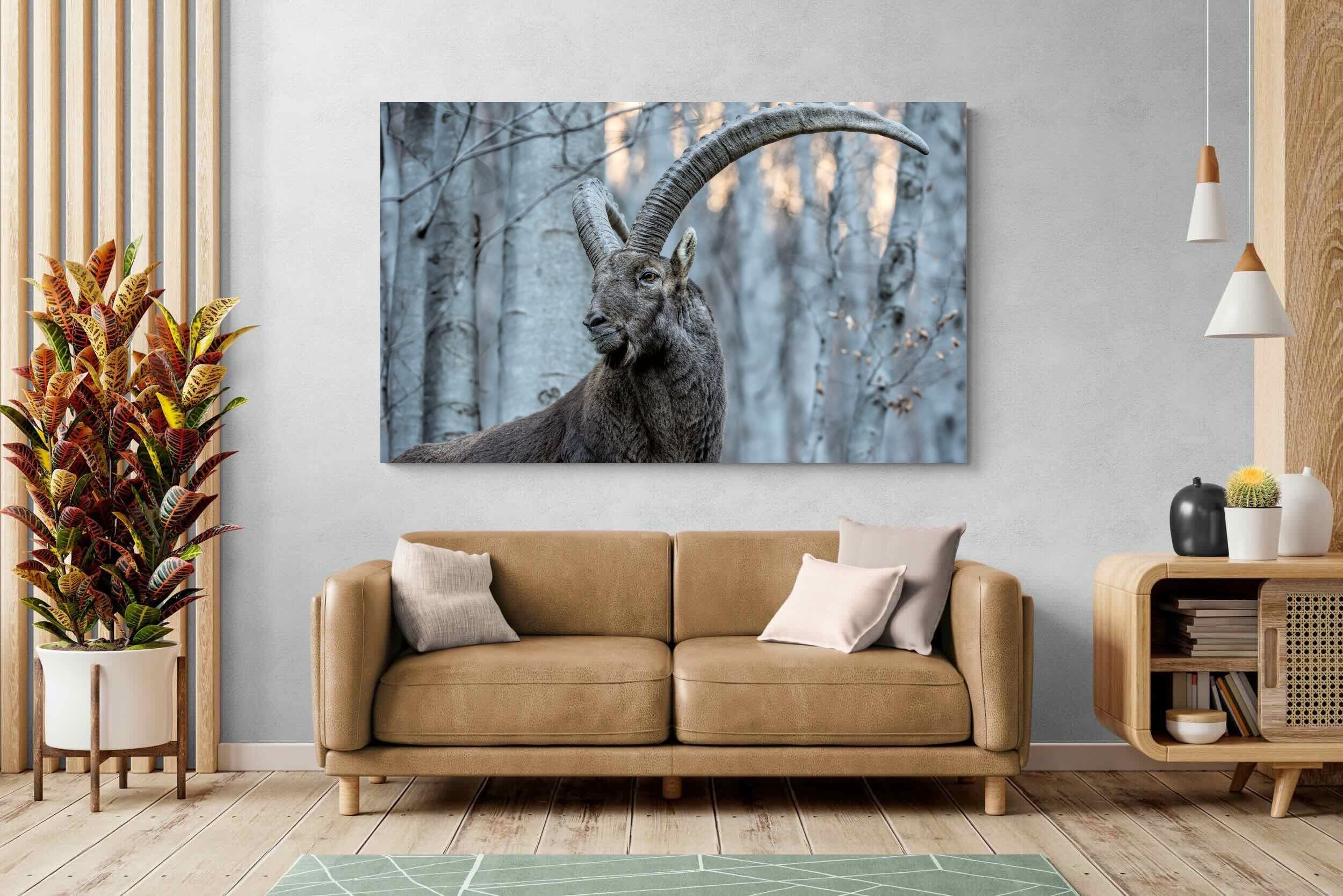Pixalot Ibex
