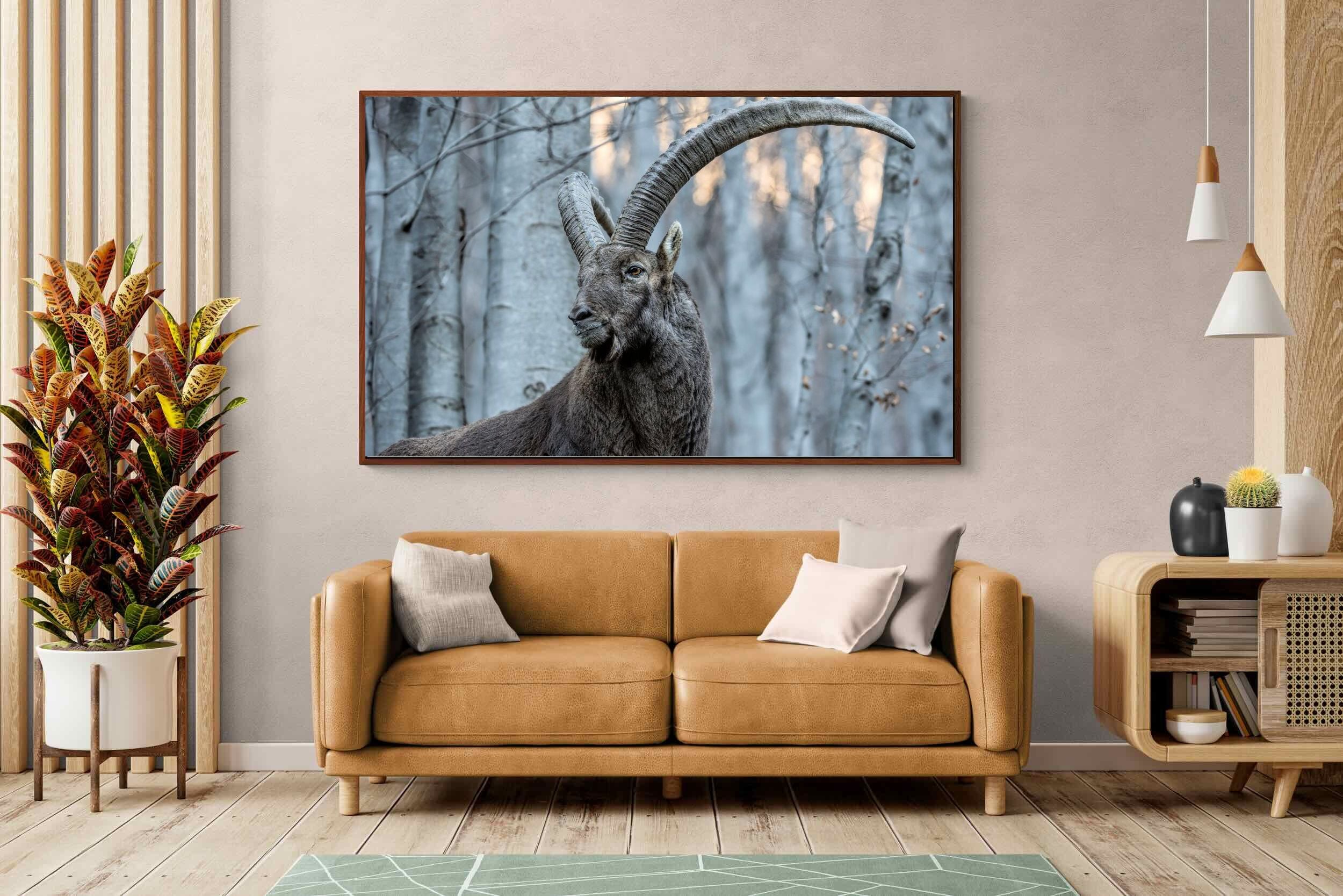 Pixalot ® Ibex