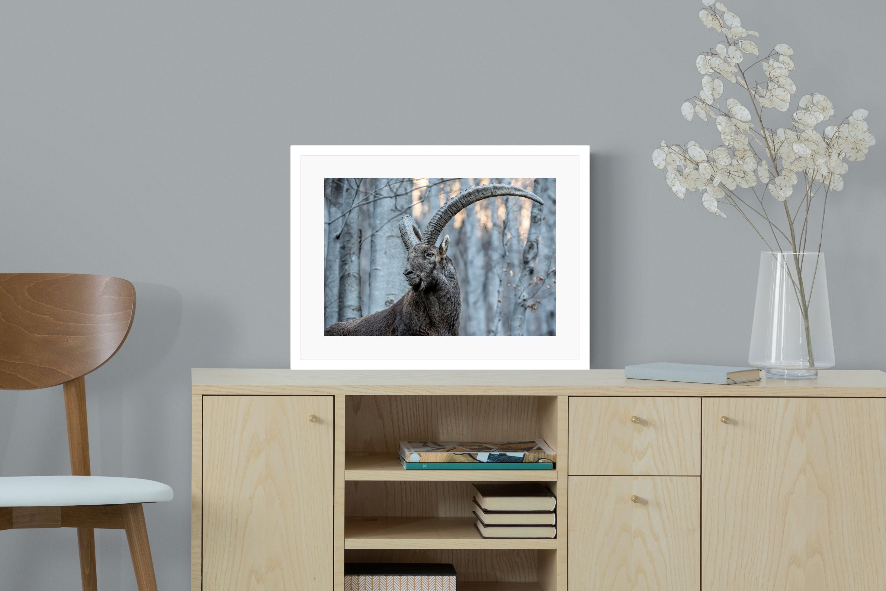 Pixalot Ibex