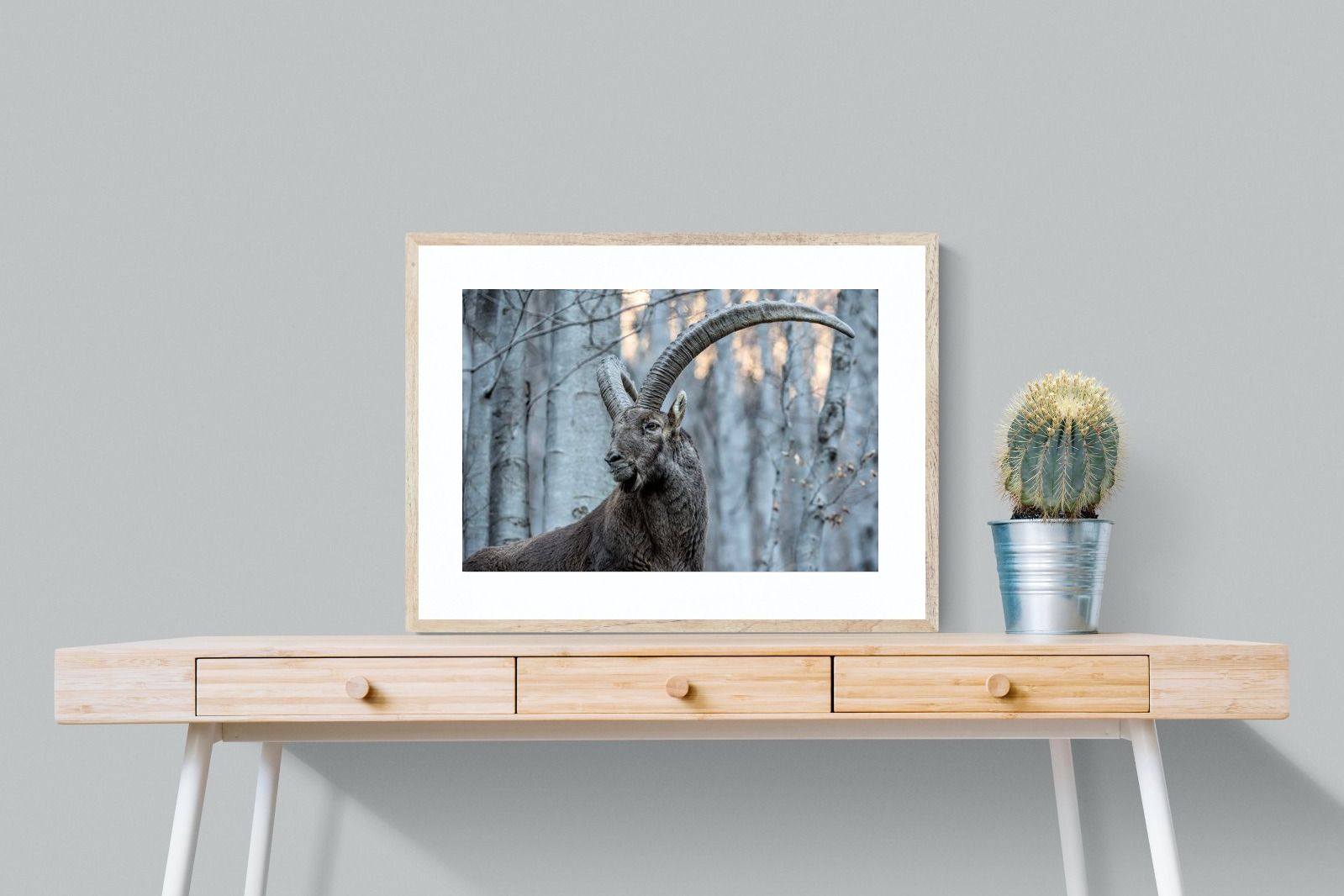 Pixalot Ibex