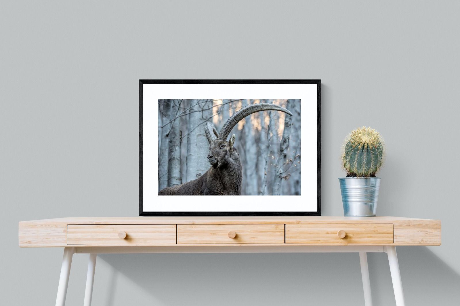 Pixalot Ibex