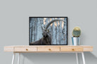 Pixalot Ibex