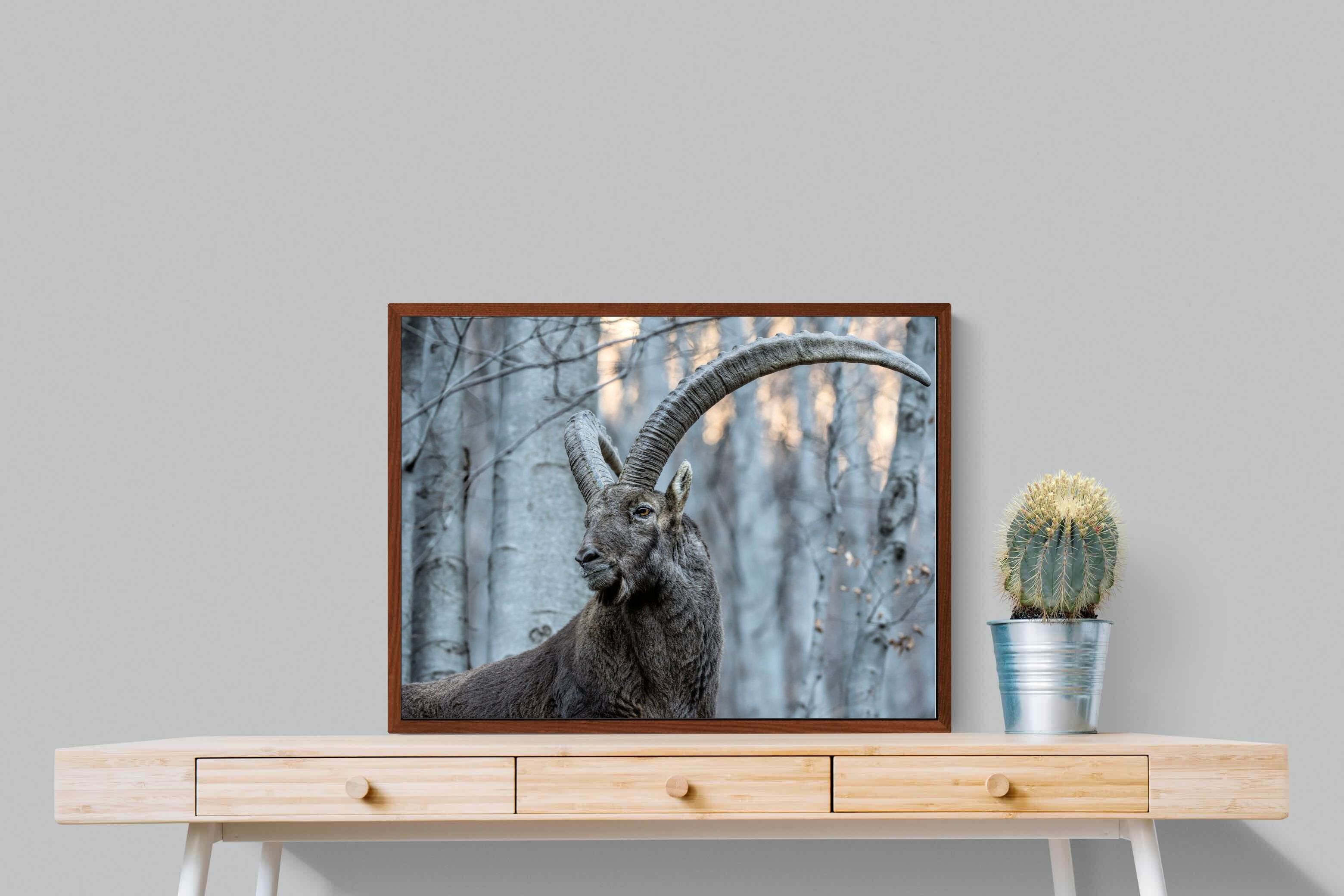 Pixalot ® Ibex