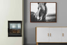 Pixalot ® Icelandic Pony