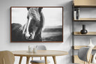 Pixalot ® Icelandic Pony