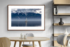 Pixalot ® Icelandic Sails