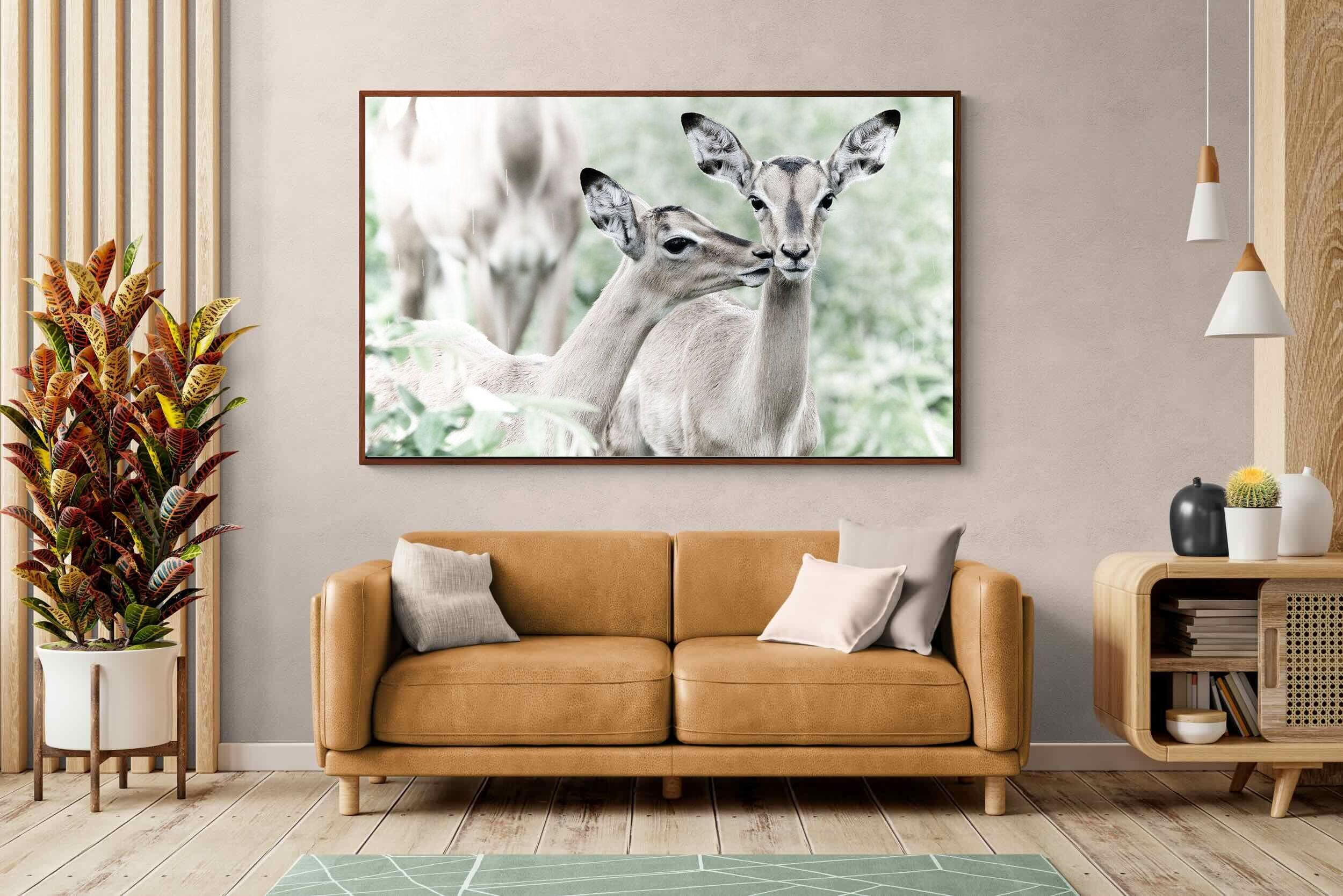 Pixalot Impala Kisses