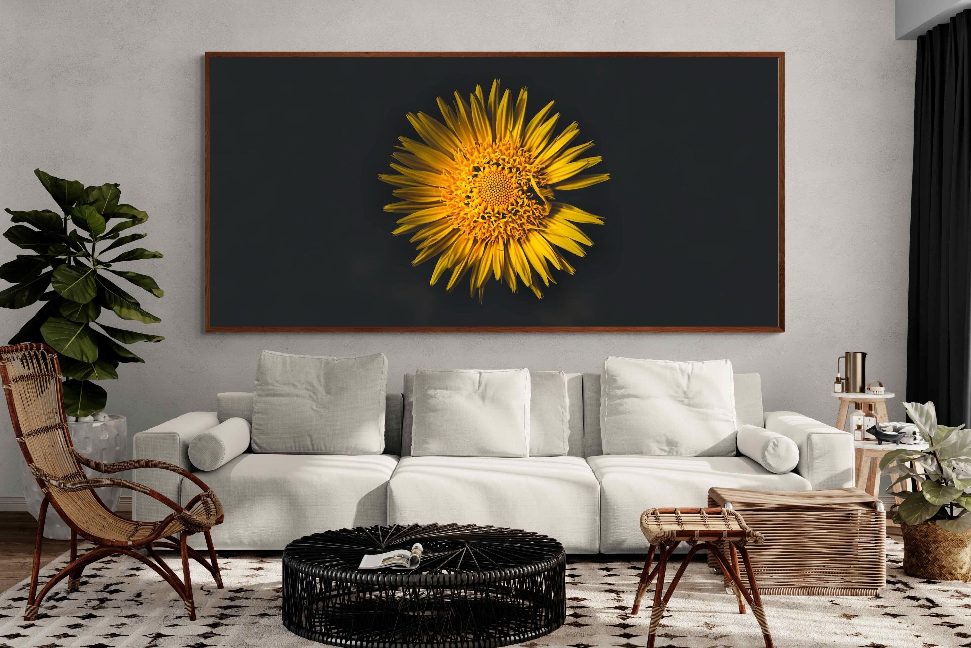 Pixalot ® Imperfect Perfection