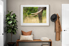 Pixalot ® Ivory Curve