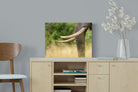 Pixalot ® Ivory Curve