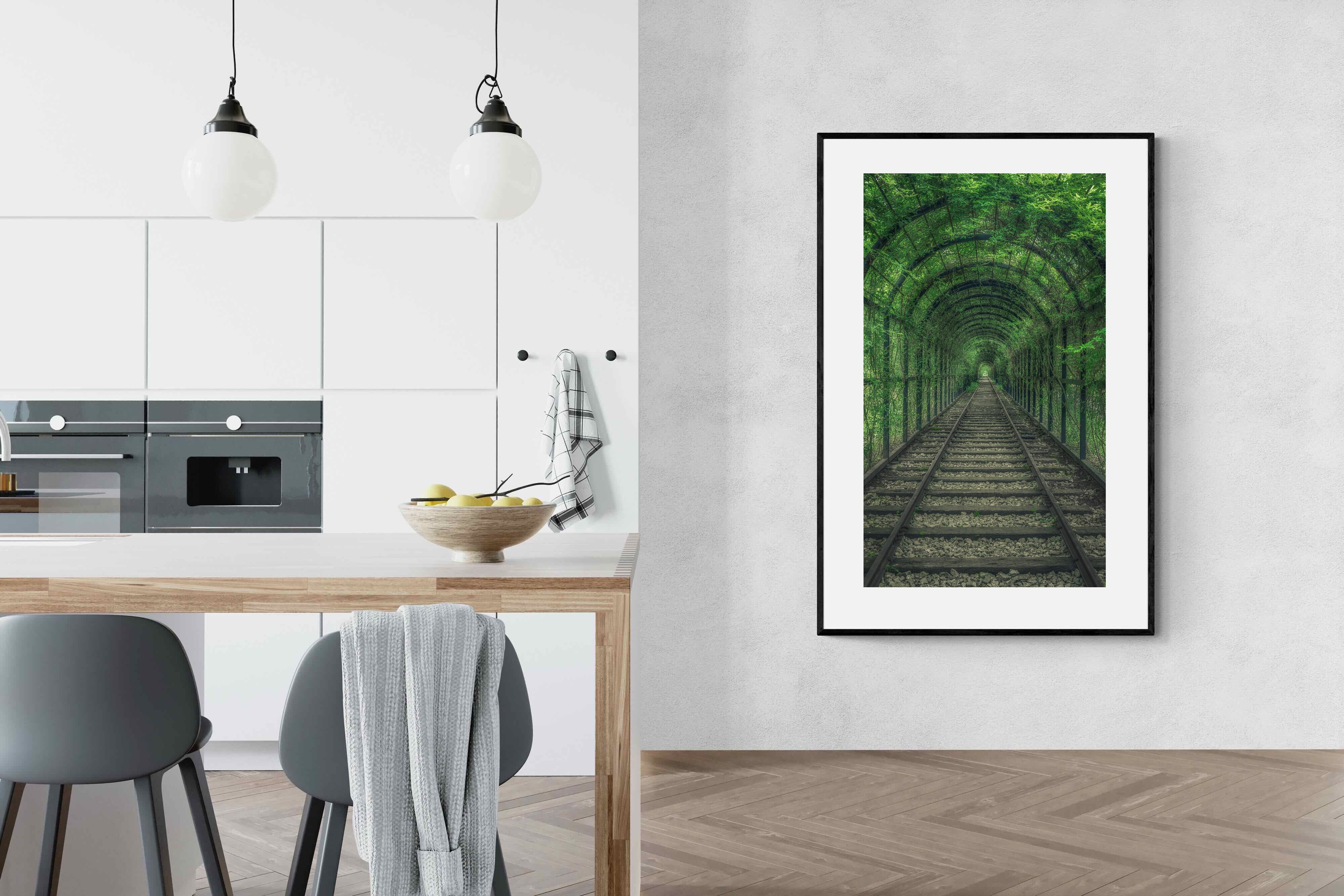 Pixalot Ivy Tunnel